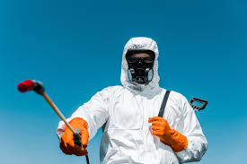 Best Termite Inspection and Treatment  in Navarre Beach, FL